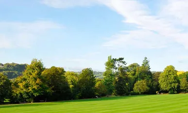 Professional yard maintenance in Schwenksville, PA by J W Lawn and Landscaping, LLC