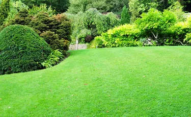 Local landscape design in Schwenksville, PA by J W Lawn and Landscaping, LLC