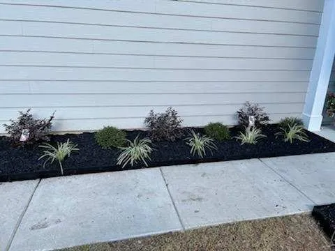 Reliable landscaping services in Ridgeland, SC - J W Total Lawn Care