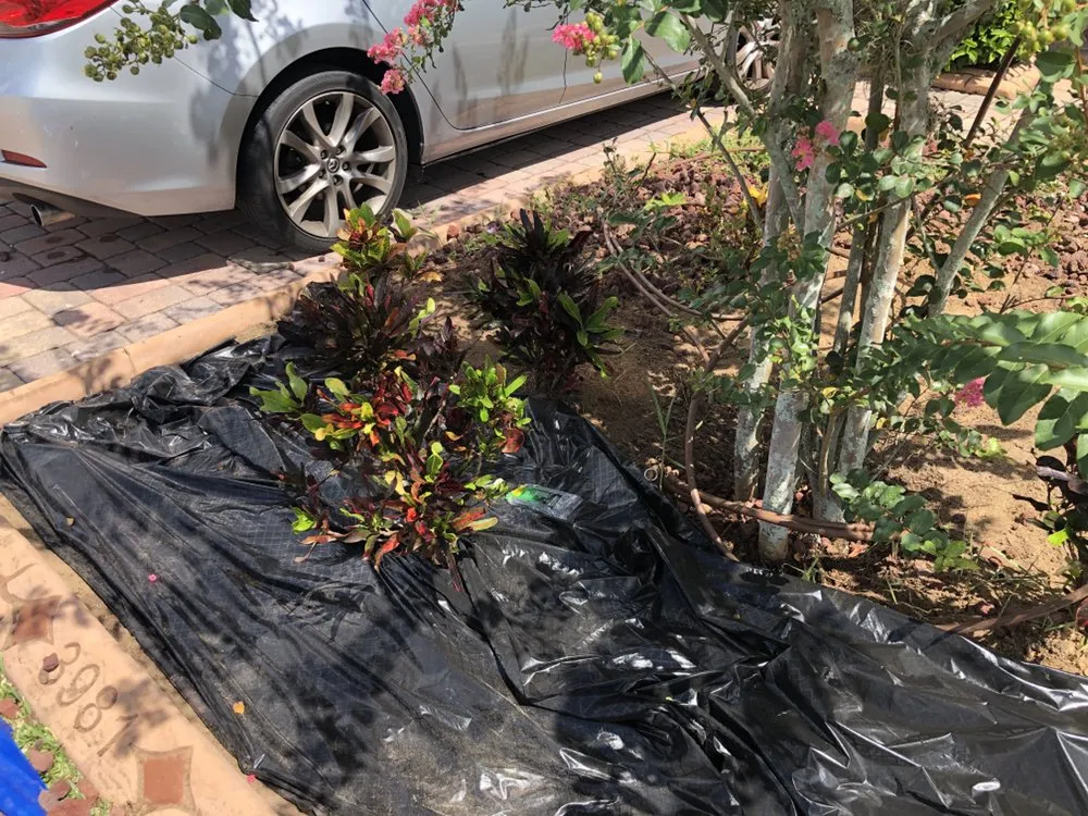 Trusted lawn care service with custom design in Lakeland, FL by J Weary Lawn Care Services