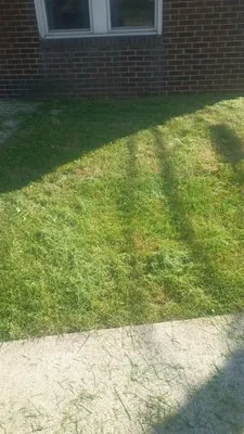 J& z's Landscaping & Lawn Service Logo