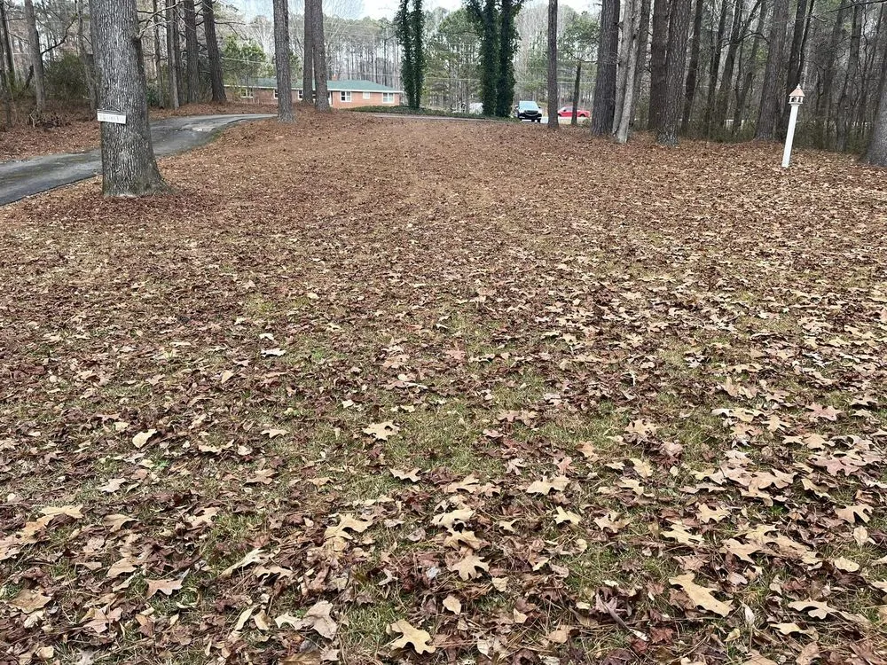 Top-rated lawn mowing service for outdoor upgrades in Newnan, GA by J2 Lawn Maintenance