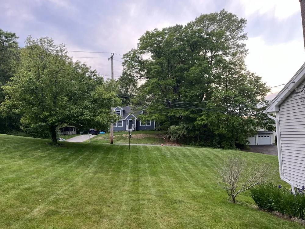 Trusted yard cleanup service for residential properties in Sutton, MA by J3 Lawncare