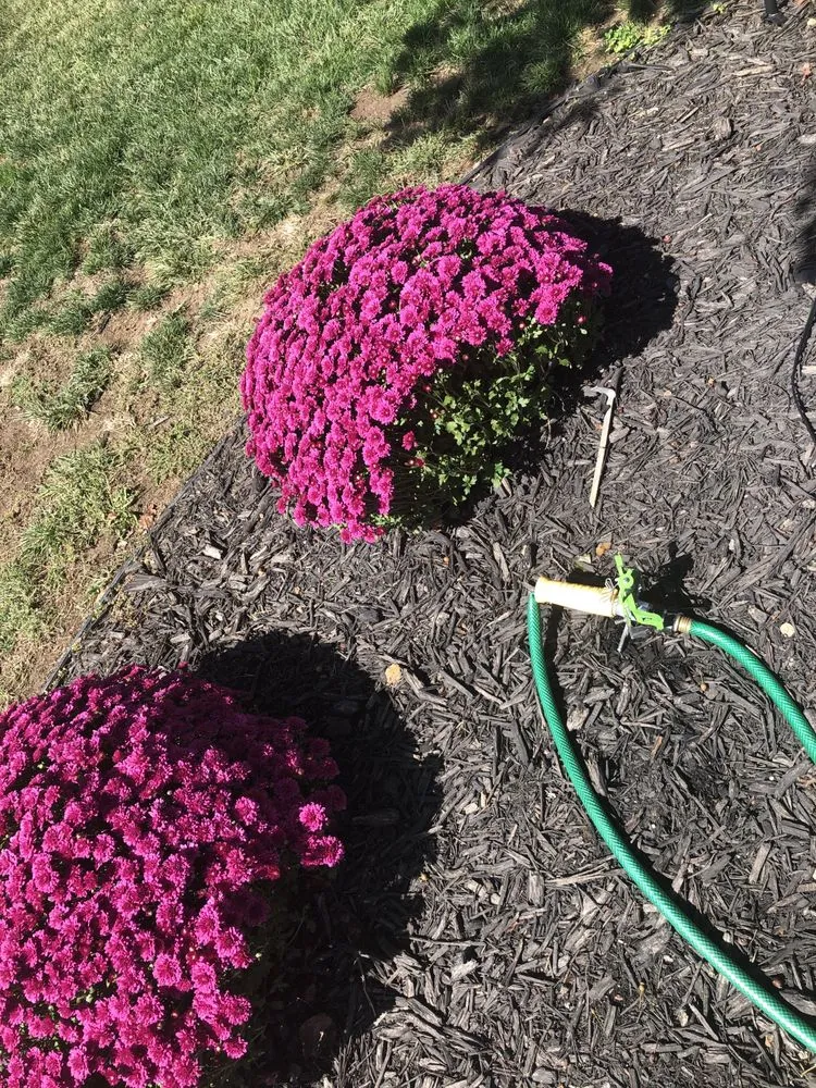 Trusted yard maintenance in Paola, KS by J3 Lawns