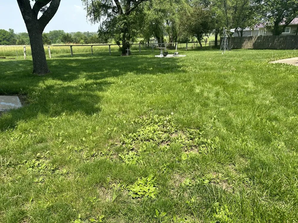 Top-rated landscaping services for beautiful yards in Paola, KS by J3 Lawns