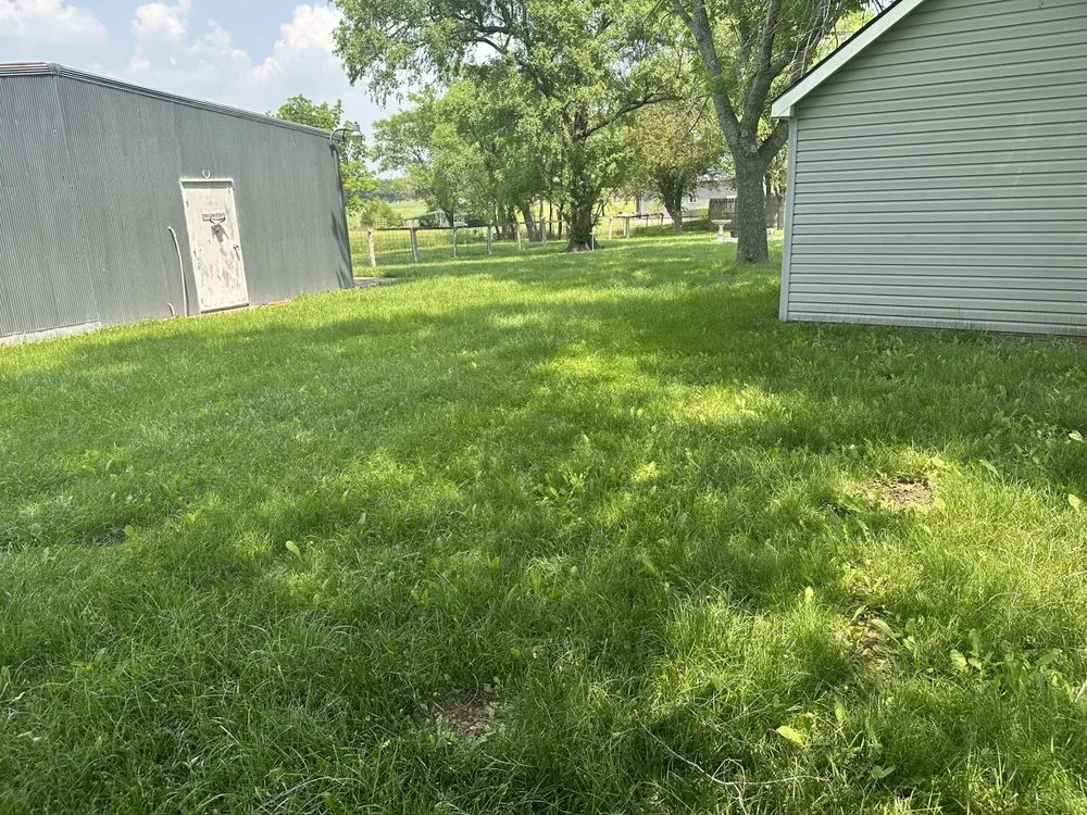 Professional yard cleanup service in Paola, KS - J3 Lawns