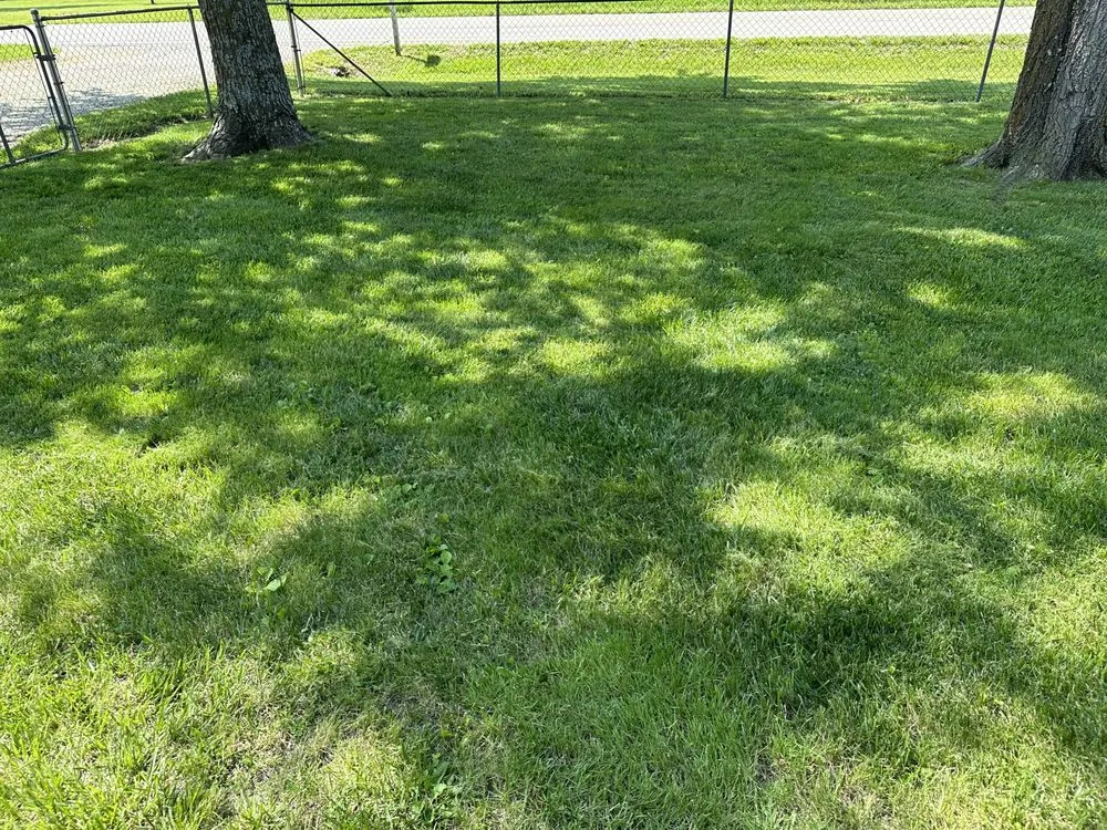 Reliable landscape design for homes across Paola, KS - J3 Lawns