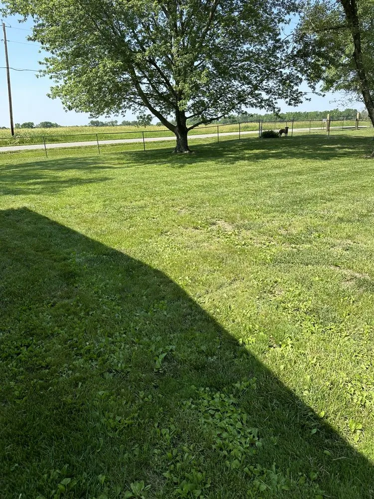 Trusted lawn mowing service experts serving Paola, KS - J3 Lawns