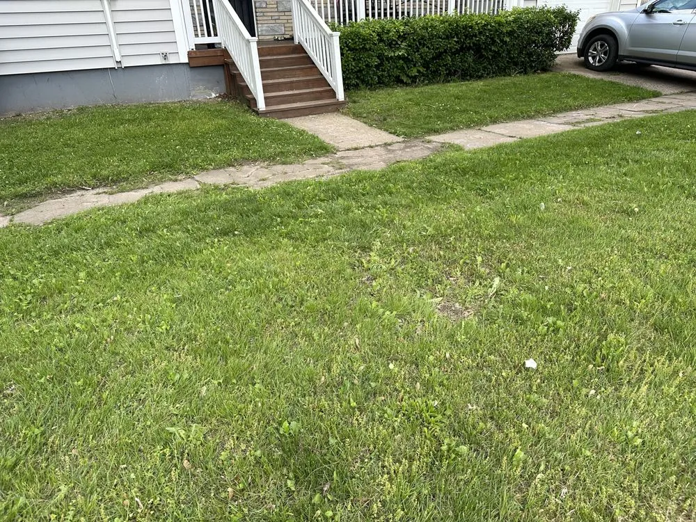 Expert landscape installation for beautiful yards across Paola, KS - J3 Lawns