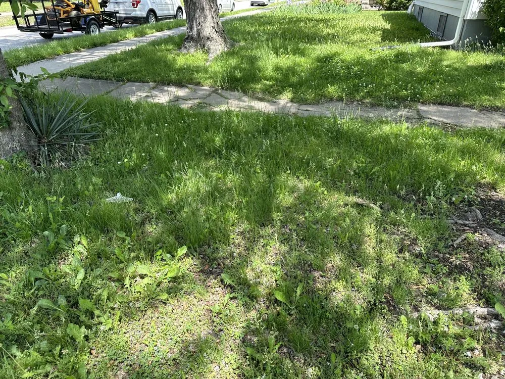 Expert lawn care service experts serving Paola, KS - J3 Lawns