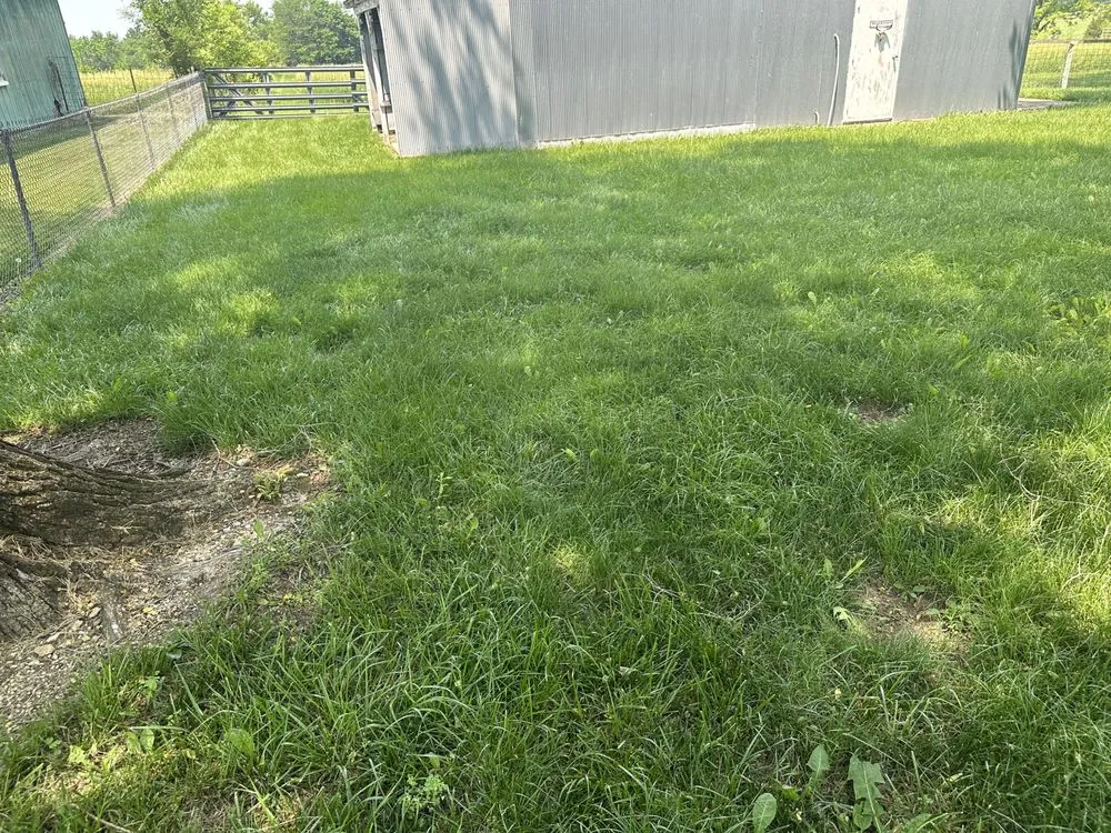 Reliable landscape installation for year-round maintenance across Paola, KS - J3 Lawns