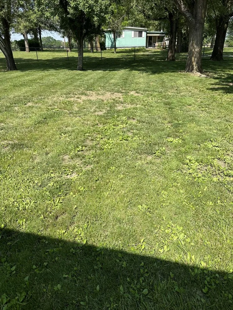 Professional yard cleanup service in Paola, KS - J3 Lawns