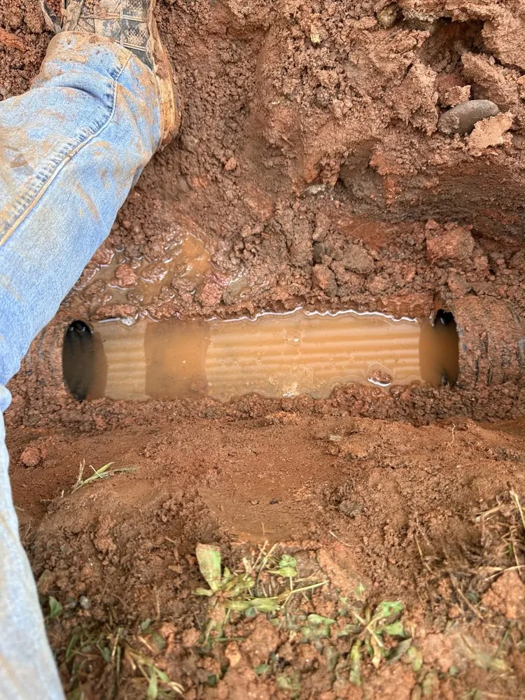 Reliable lawn care service for beautiful yards in Powdersville, SC by J4 Enterprises