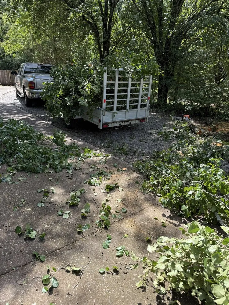 Trusted lawn care service in Powdersville, SC - J4 Enterprises