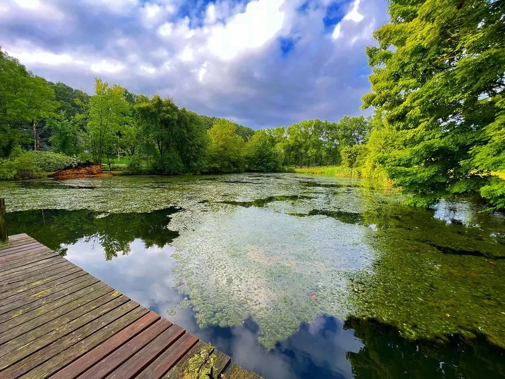 Trusted yard maintenance experts serving Westminster, MD - J4 Outdoors Property Services