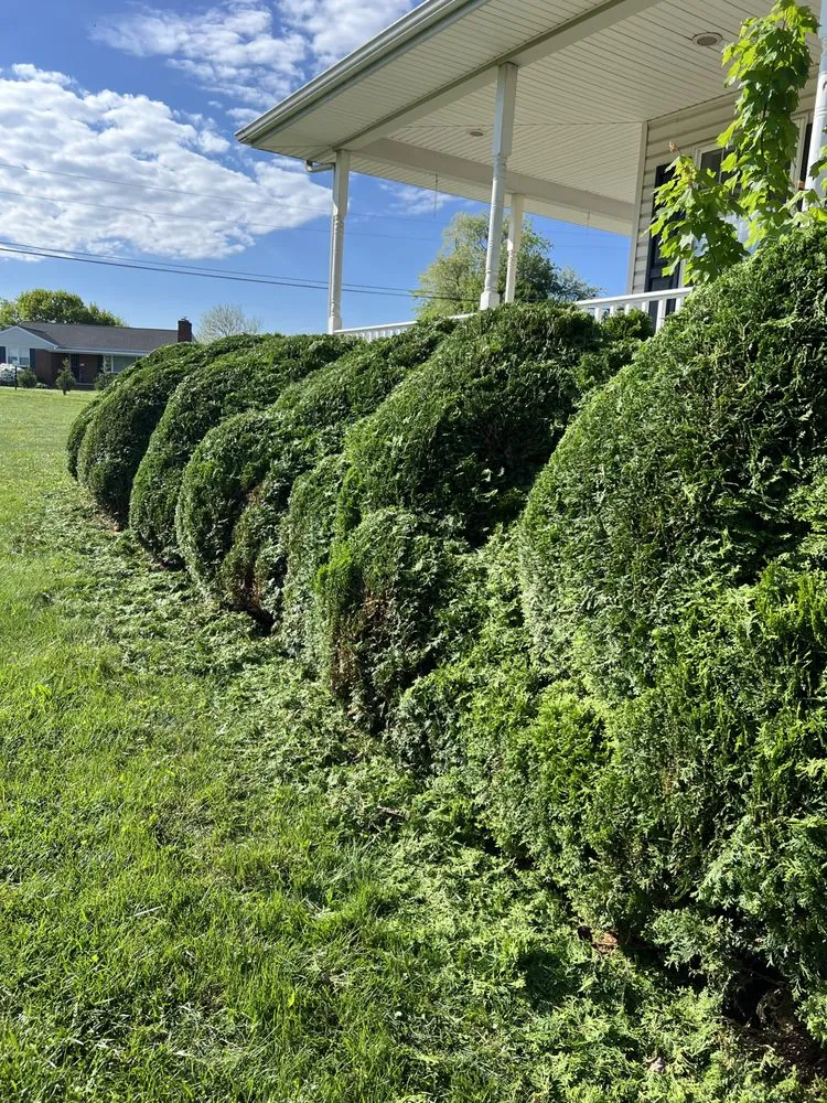 Trusted landscape design in Forest Hill, MD by J4 Services