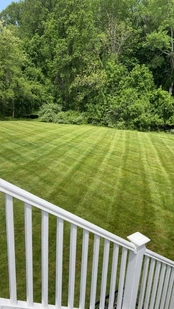 Trusted yard cleanup service experts serving Forest Hill, MD - J4 Services