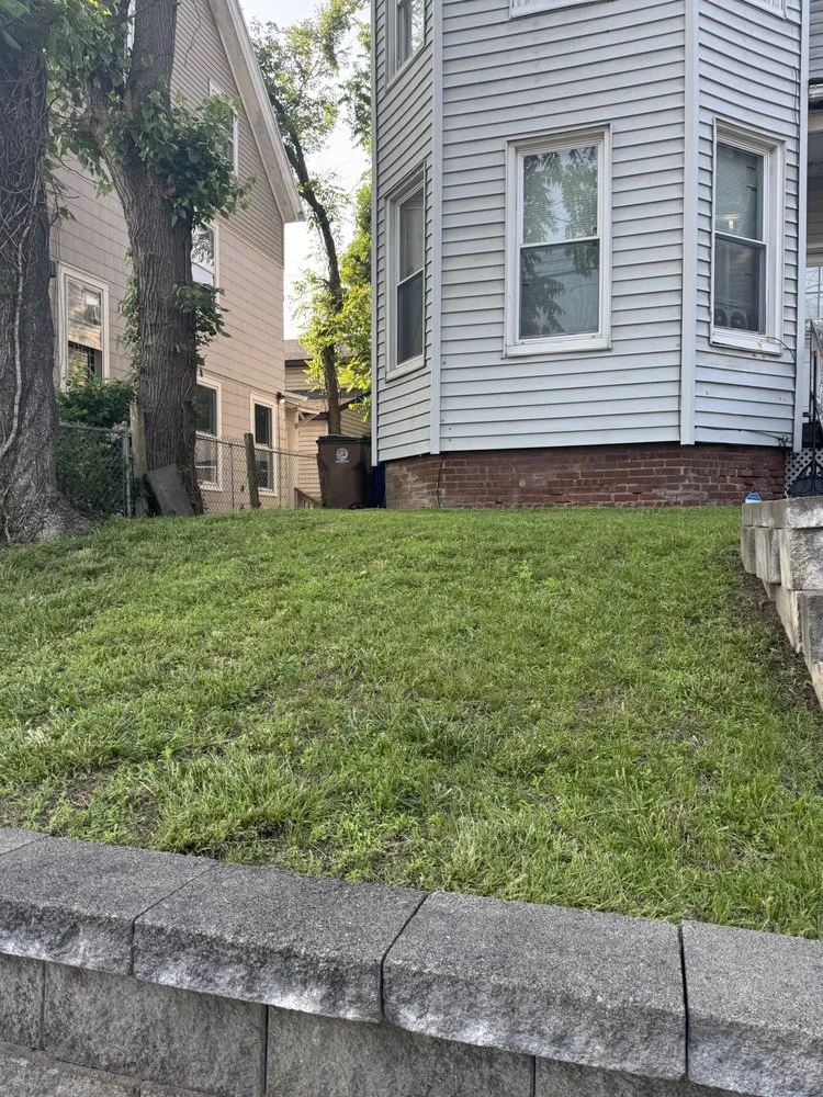 Custom yard cleanup service in Kingston, NY by J5 Landscaping and Lawn care