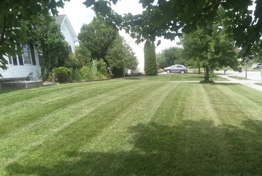 Reliable lawn care service in Arnold, MD - J5 Lawn Maintenance