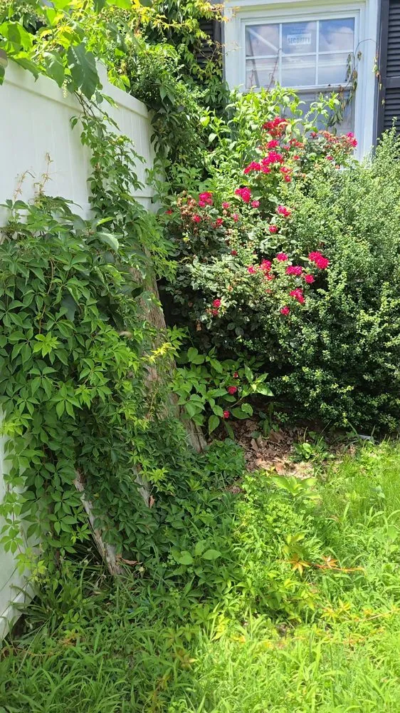 Local lawn mowing service in Trenton, NJ by J5O Innovations