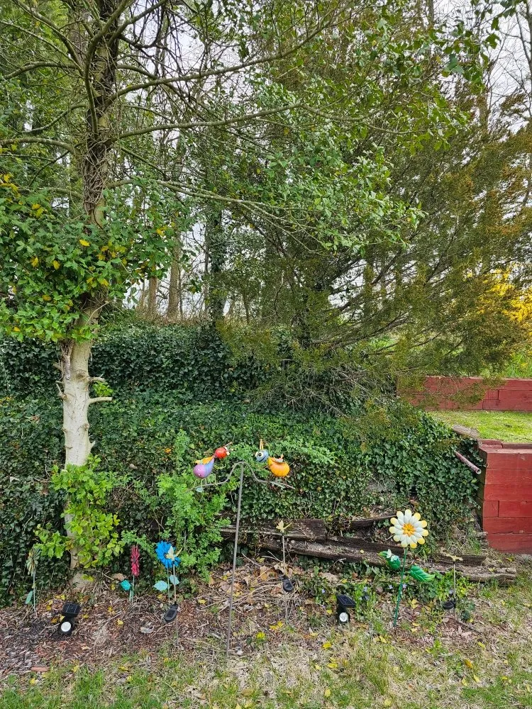 Trusted garden landscaping in Trenton, NJ - J5O Innovations