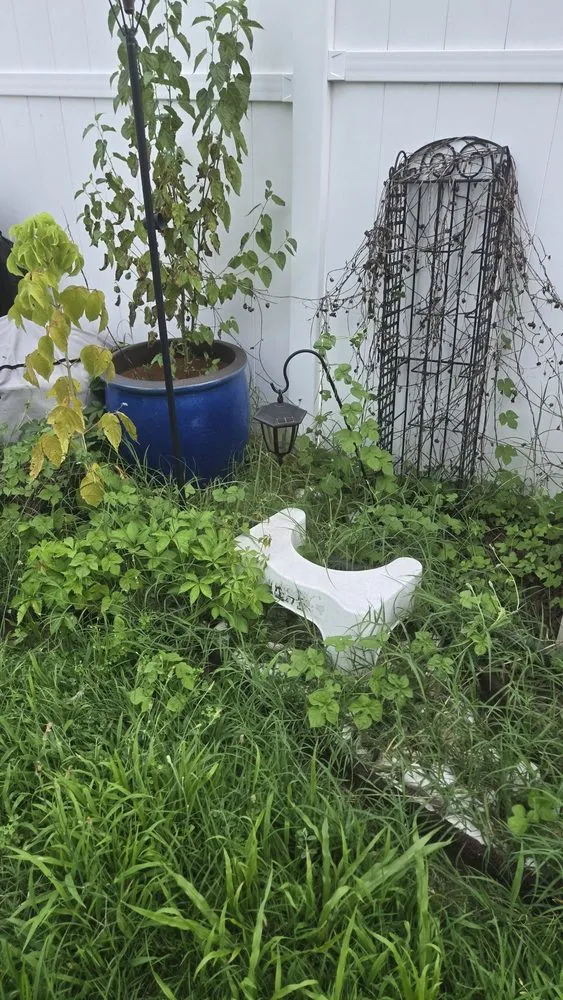 Custom lawn care service for homes in Trenton, NJ by J5O Innovations