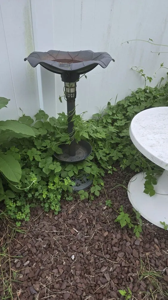 Custom landscaping services for outdoor upgrades across Trenton, NJ - J5O Innovations