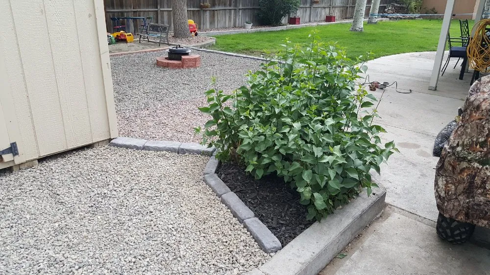 Affordable yard cleanup service in District Heights, MD by JA Alvarez Landscaping