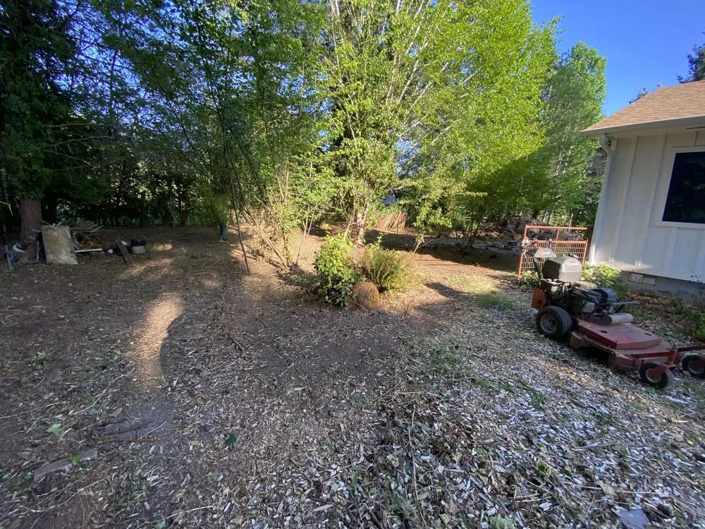 Top-rated yard cleanup service experts serving Portland, OR - JA Bravo Landscaping