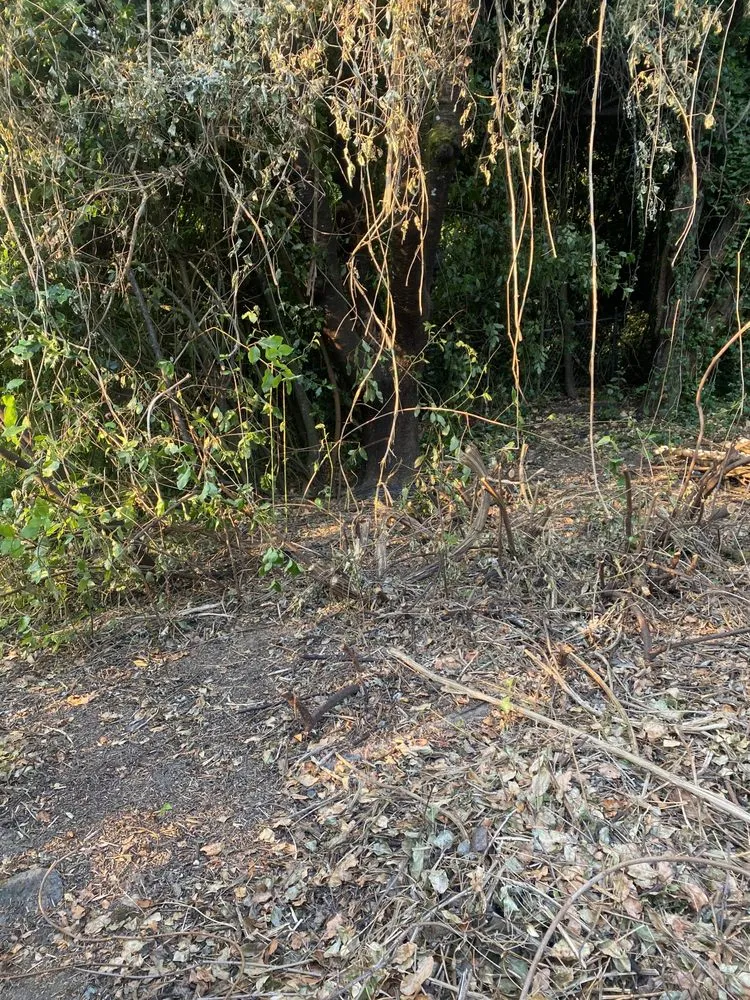 Trusted residential landscaping in Portland, OR by JA Bravo Landscaping