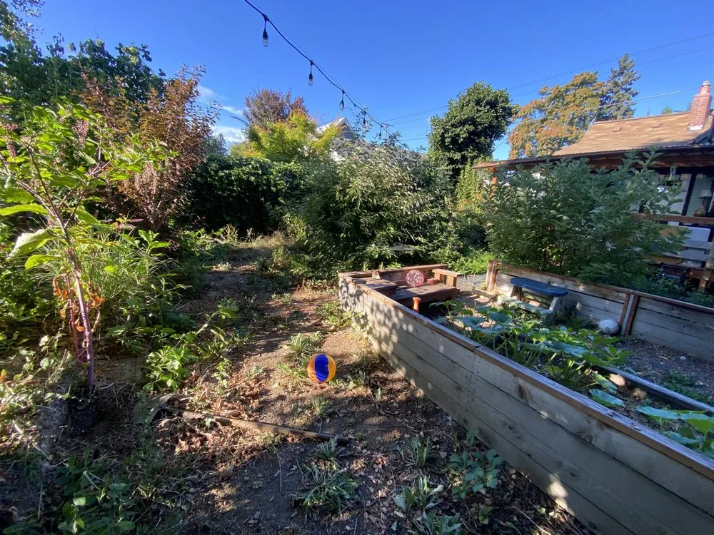 Top-rated yard cleanup service in Portland, OR - JA Bravo Landscaping