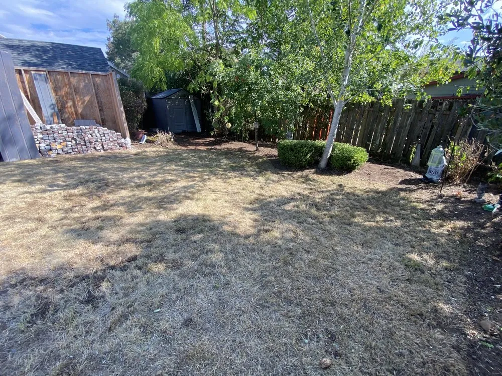 Expert outdoor landscaping in Portland, OR by JA Bravo Landscaping