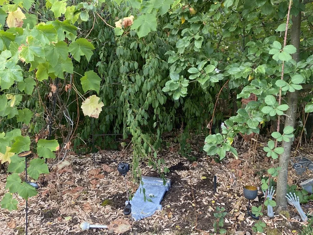 Custom outdoor landscaping experts serving Portland, OR - JA Bravo Landscaping