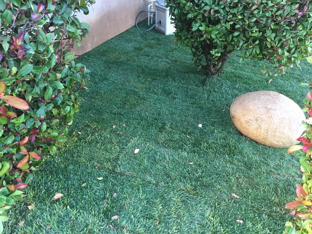 Custom lawn care service experts serving Hemet, CA - JA Castellanos Landscaping