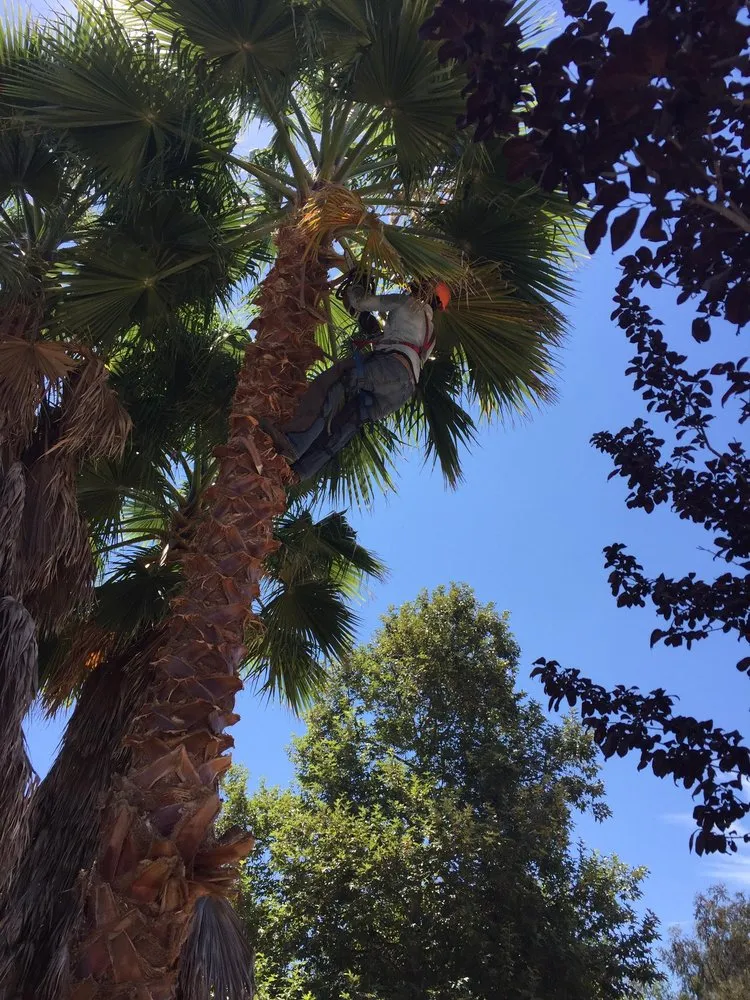 Expert outdoor landscaping experts serving Hemet, CA - JA Castellanos Landscaping