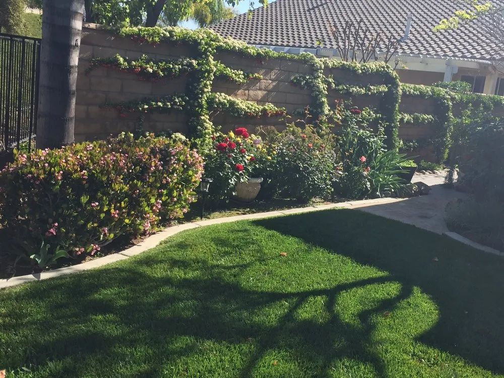 Professional outdoor landscaping in Hemet, CA by JA Castellanos Landscaping
