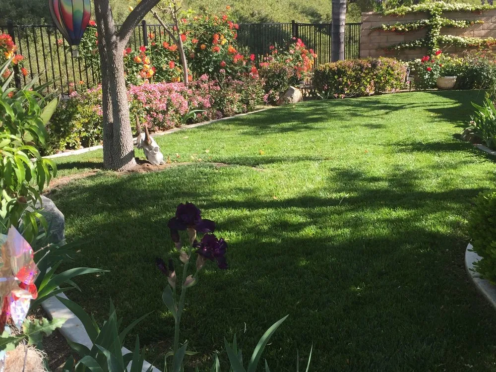 Affordable residential landscaping experts serving Hemet, CA - JA Castellanos Landscaping