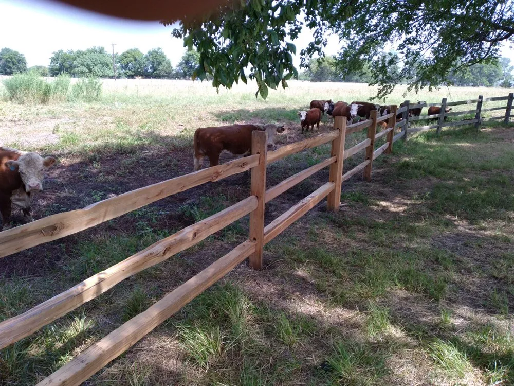 Custom lawn mowing service for year-round maintenance in Powderly, TX by J&A Fencing and Construction