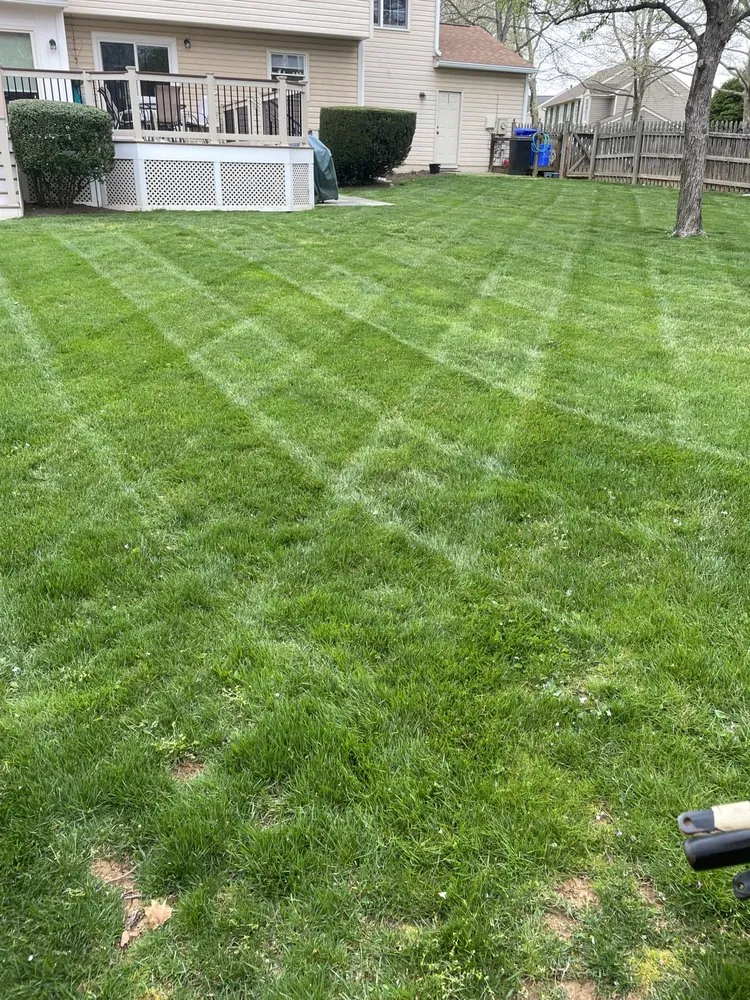 Professional lawn care service experts serving Frederick, MD - J&A