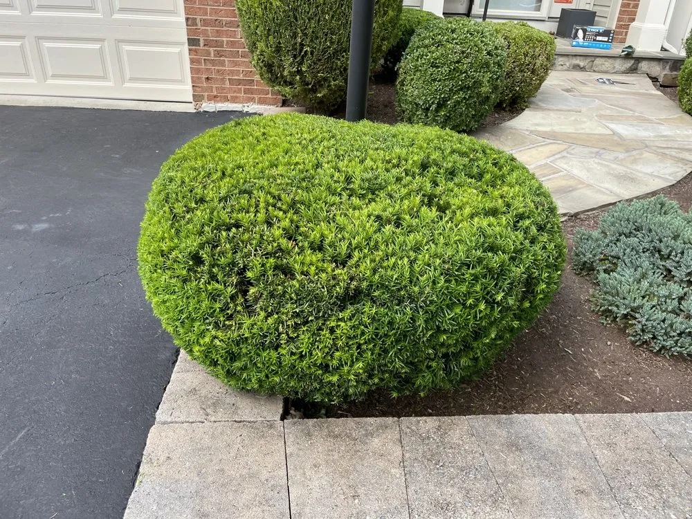 Top-rated landscaping services in Frederick, MD by J&A