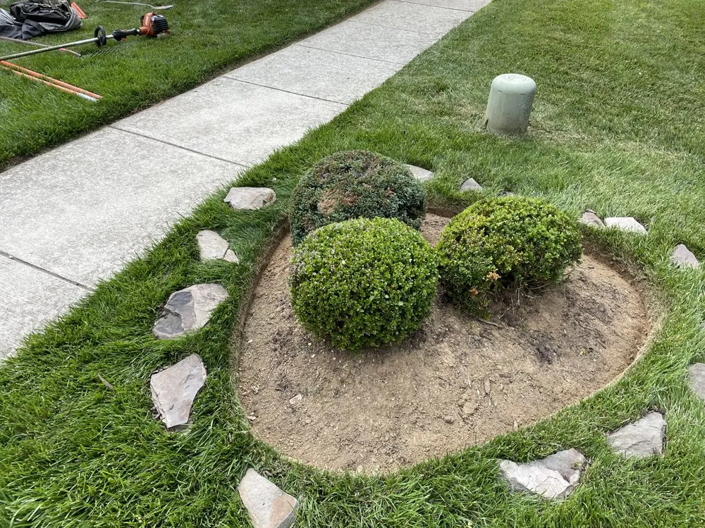 Local lawn care service in Frederick, MD - J&A