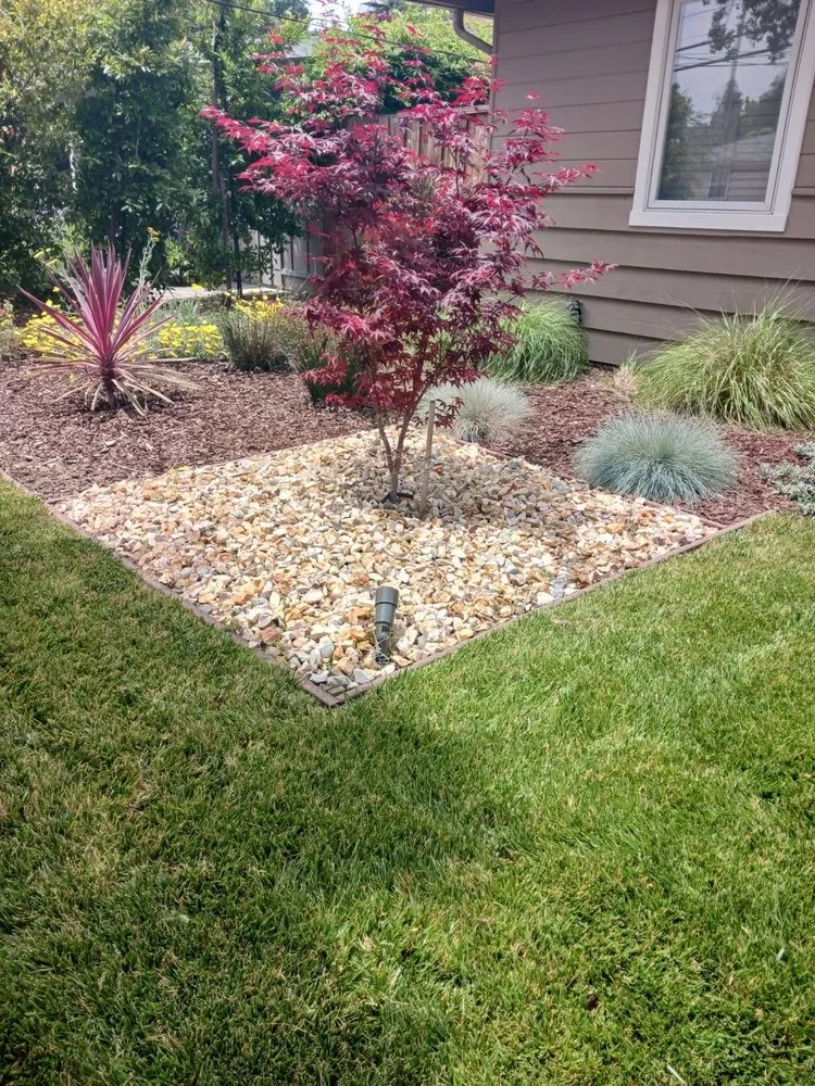 Trusted landscaping services near you across Hanford, CA - JA Gardening Service