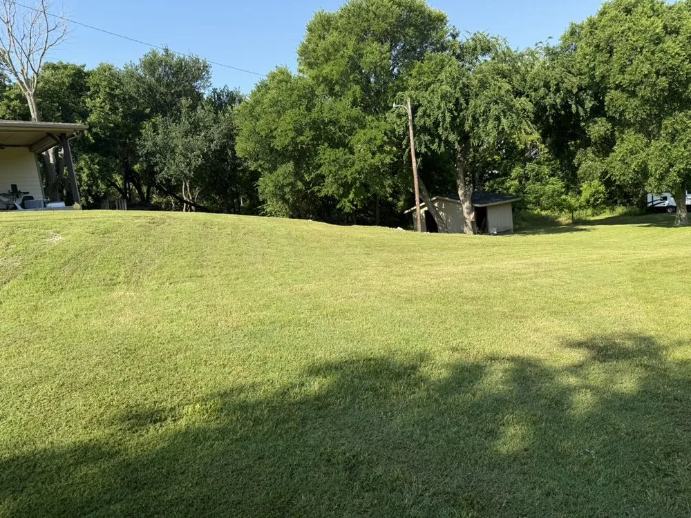 Professional landscape installation in Dallas, TX by JA Green Lawn Care Services