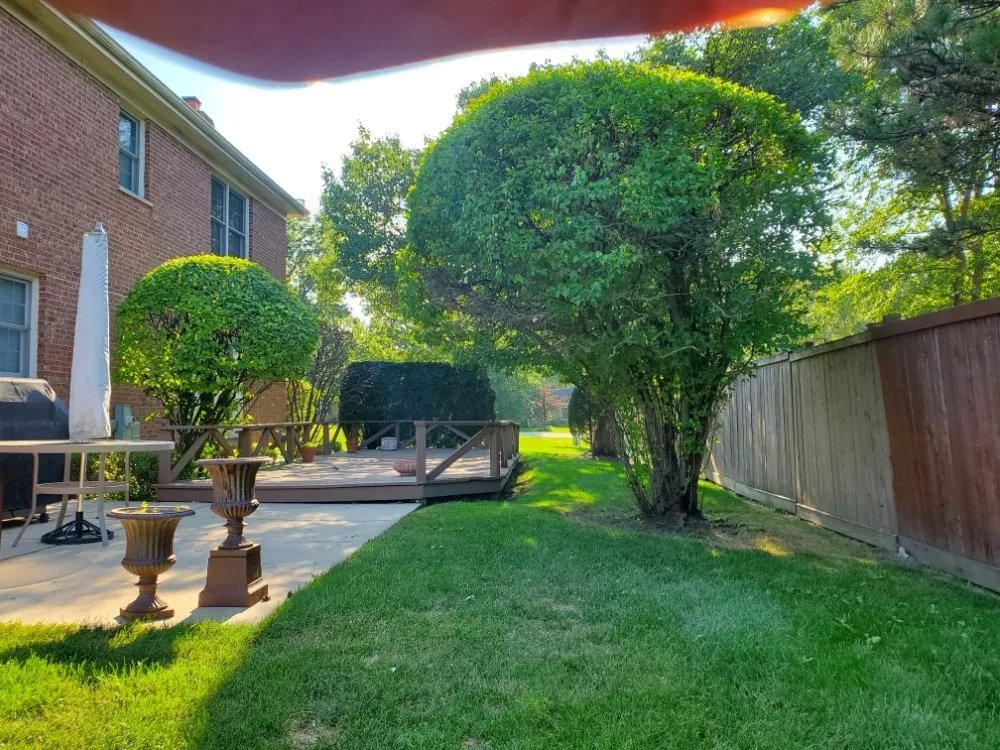 Expert yard cleanup service for outdoor upgrades across Des Plaines, IL - JA Guerrero Landscaping