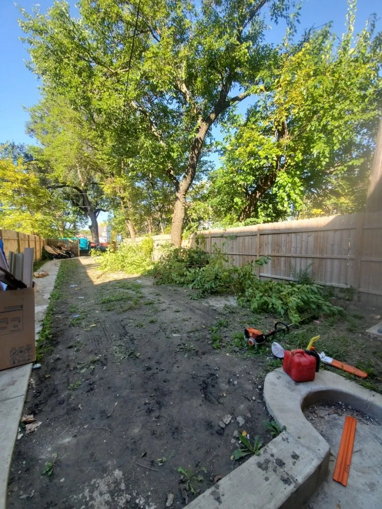 Expert yard cleanup service experts serving Des Plaines, IL - JA Guerrero Landscaping