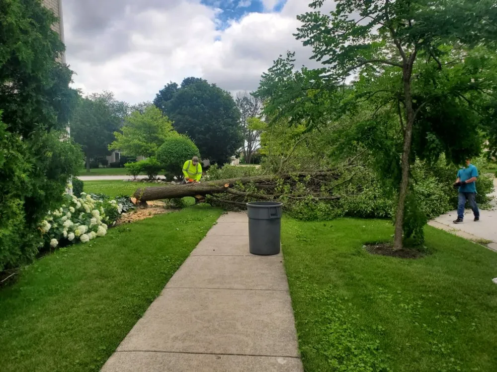 Expert lawn mowing service experts serving Des Plaines, IL - JA Guerrero Landscaping