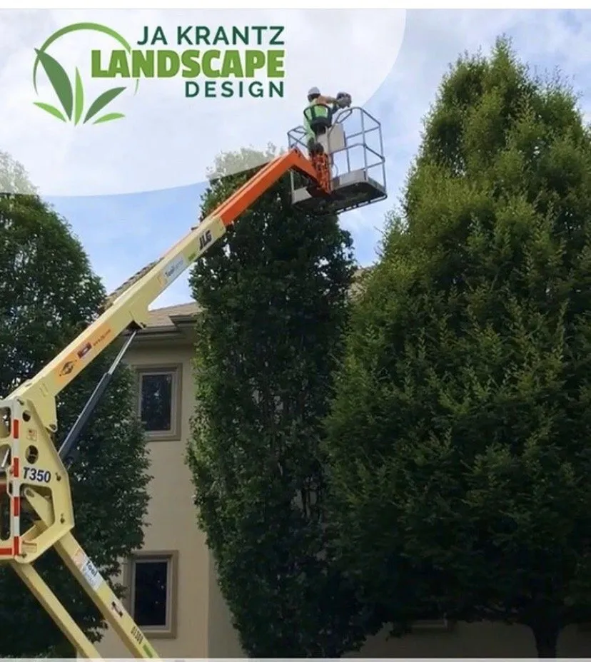 Professional yard cleanup service for beautiful yards across Swormville, NY - JA Krantz Landscapes