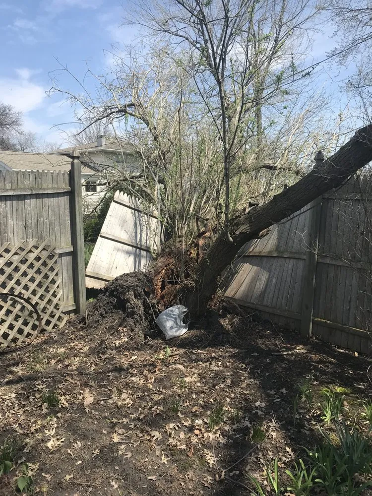 Professional yard maintenance in Swormville, NY by JA Krantz Landscapes