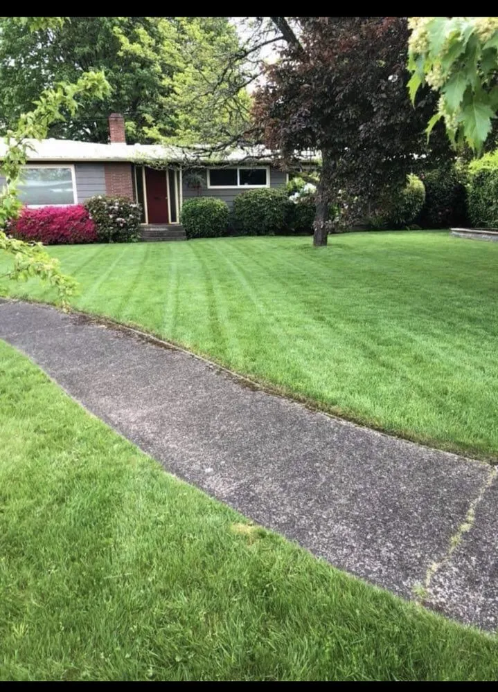 Reliable landscape installation for residential properties in Eugene, OR by J&A Landscape Service