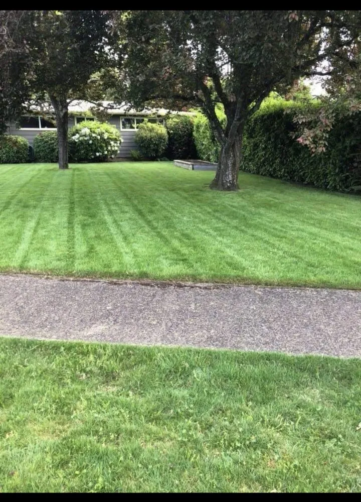 Trusted landscaping services in Eugene, OR - J&A Landscape Service